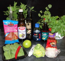 Tandoori-Schweinefilet auf Glasnudelsalat