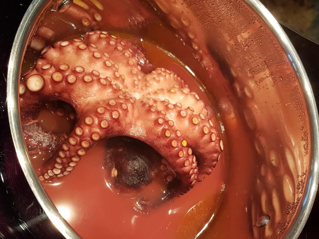 Oktopus fertig gegart