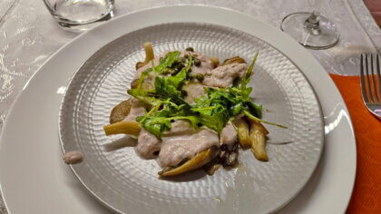 Austernpilze Tonnato mit Rucola