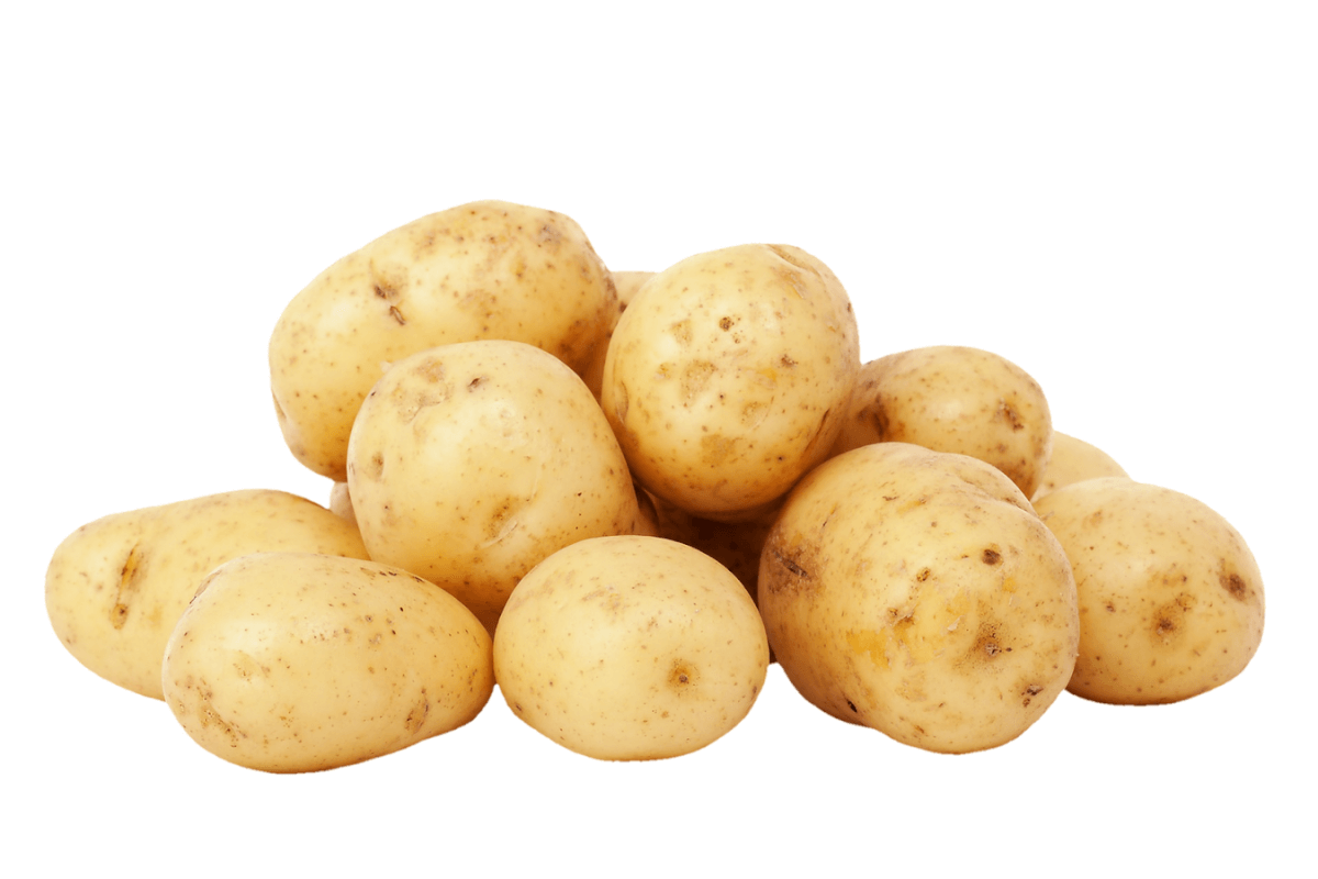 Kartoffelstampf -Kartoffelpüree - CUISINE4YOU