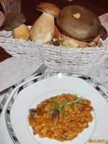 Risotto di Funghi al Pomodoro