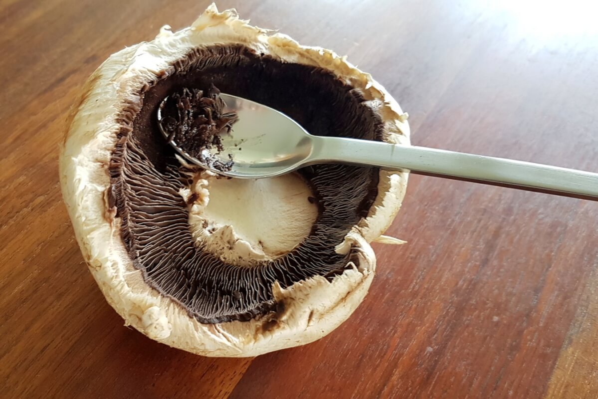 Gefüllte Champignons - Portobello Pilze - CUISINE4YOU